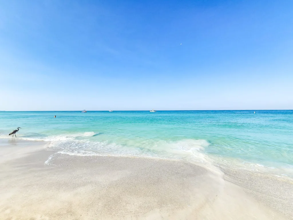 Anna Maria Island