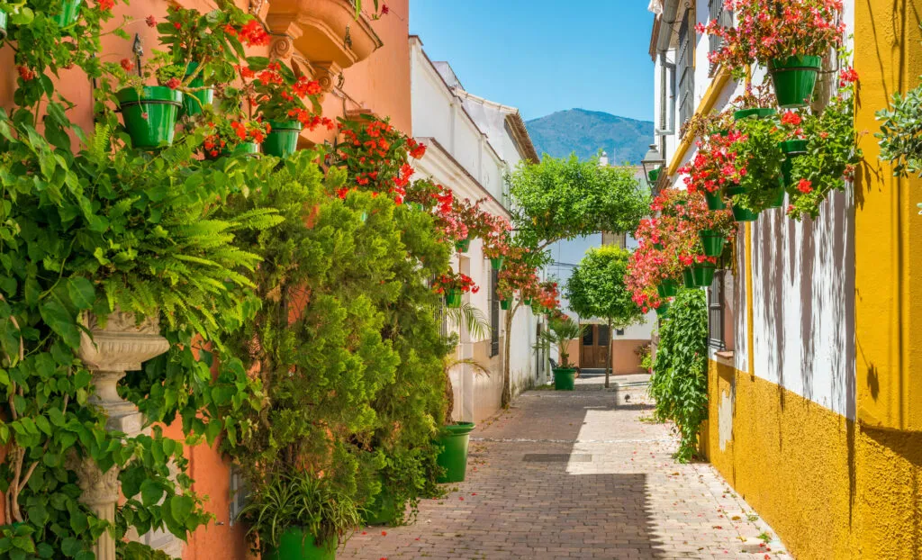 estepona spain